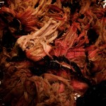 Smoked Pork Butt: The Dos Equis Amber Epiphany Edition